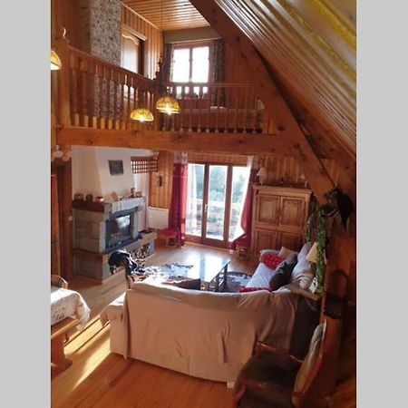 Authentique Chalet Vue Sur Le Lac Et Les Pistes 贝斯和圣阿纳斯泰斯 外观 照片