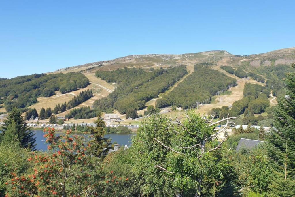 Authentique Chalet Vue Sur Le Lac Et Les Pistes 贝斯和圣阿纳斯泰斯 外观 照片