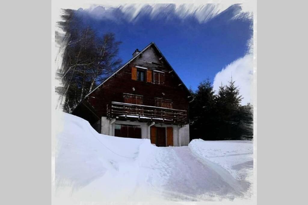 Authentique Chalet Vue Sur Le Lac Et Les Pistes 贝斯和圣阿纳斯泰斯 外观 照片